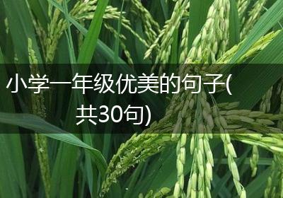 小学一年级优美的句子(共30句)