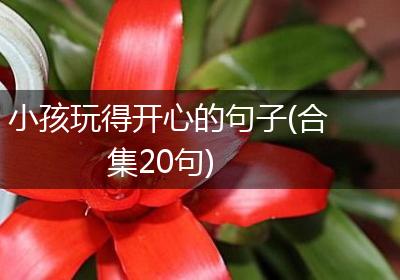 小孩玩得开心的句子(合集20句)