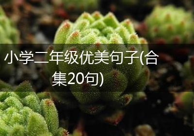 小学二年级优美句子(合集20句)
