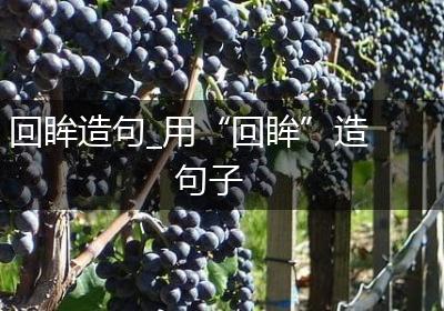 回眸造句_用“回眸”造句子