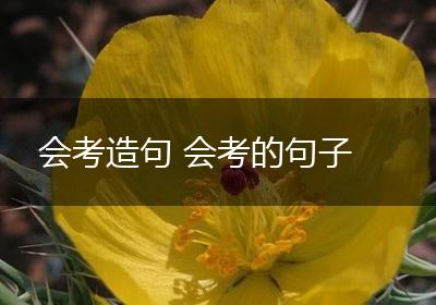 会考造句 会考的句子