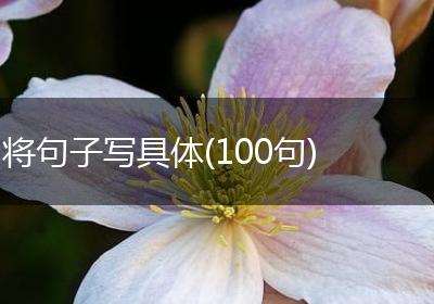 将句子写具体(100句)