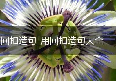 回扣造句_用回扣造句大全