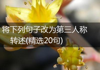 将下列句子改为第三人称转述(精选20句)