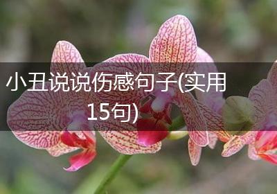 小丑说说伤感句子(实用15句)