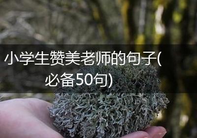 小学生赞美老师的句子(必备50句)
