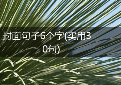 封面句子6个字(实用30句)