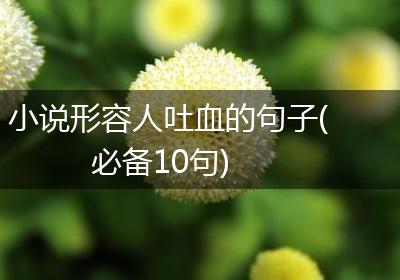 小说形容人吐血的句子(必备10句)