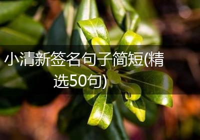 小清新签名句子简短(精选50句)