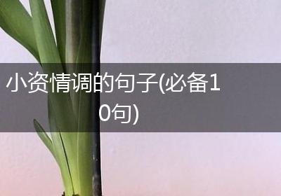 小资情调的句子(必备10句)