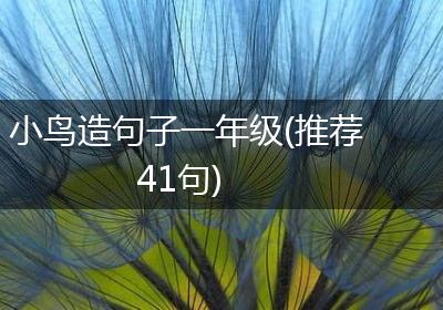 小鸟造句子一年级(推荐41句)