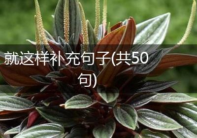 就这样补充句子(共50句)