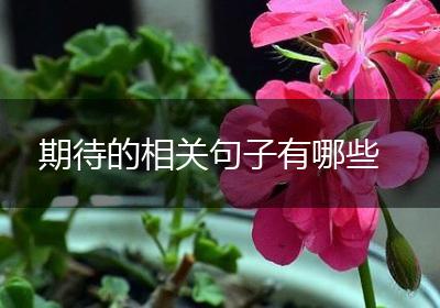 期待的相关句子有哪些