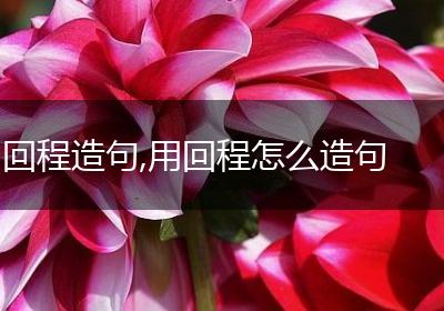 回程造句,用回程怎么造句