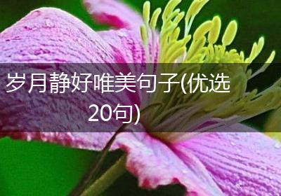 岁月静好唯美句子(优选20句)