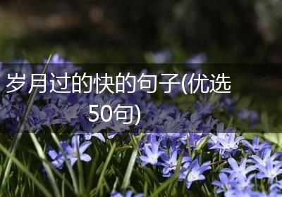 岁月过的快的句子(优选50句)