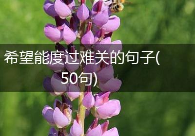 希望能度过难关的句子(50句)
