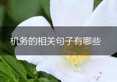 机务的相关句子有哪些