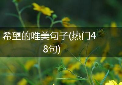 希望的唯美句子(热门48句)