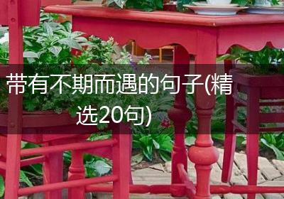 带有不期而遇的句子(精选20句)