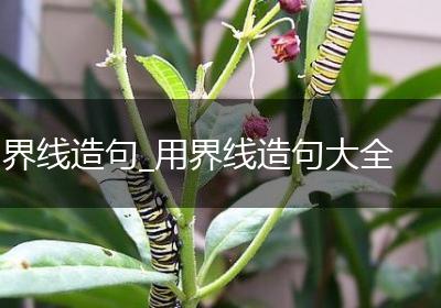 界线造句_用界线造句大全