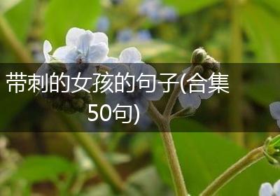 带刺的女孩的句子(合集50句)