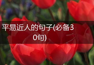 平易近人的句子(必备30句)