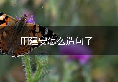 用建安怎么造句子