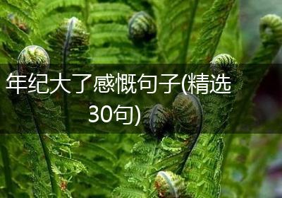 年纪大了感慨句子(精选30句)