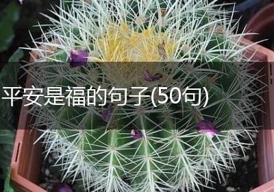平安是福的句子(50句)
