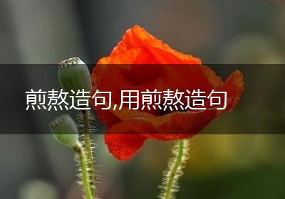 煎熬造句,用煎熬造句