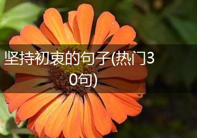 坚持初衷的句子(热门30句)
