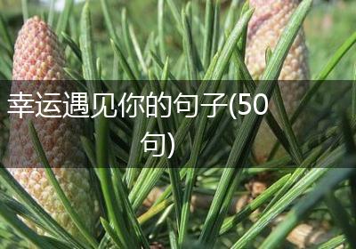 幸运遇见你的句子(50句)