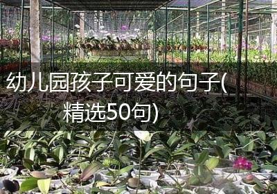 幼儿园孩子可爱的句子(精选50句)