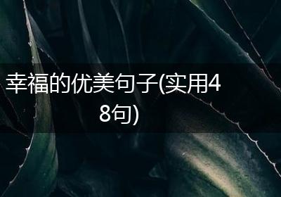 幸福的优美句子(实用48句)