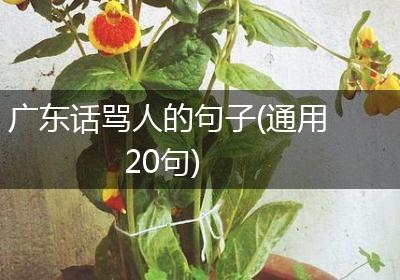 广东话骂人的句子(通用20句)