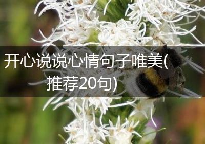 开心说说心情句子唯美(推荐20句)