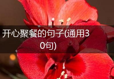 开心聚餐的句子(通用30句)