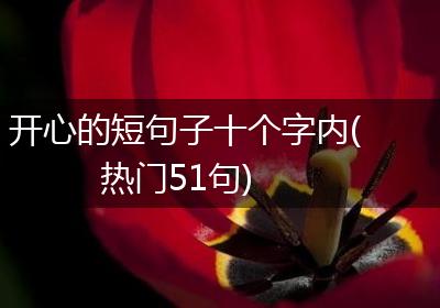 开心的短句子十个字内(热门51句)