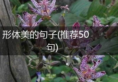 形体美的句子(推荐50句)