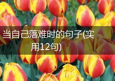 当自己落难时的句子(实用12句)