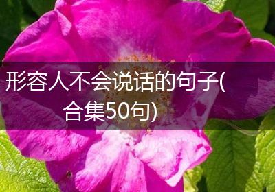 形容人不会说话的句子(合集50句)