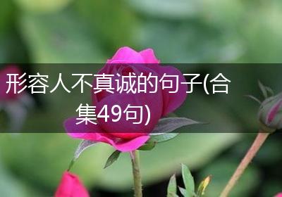 形容人不真诚的句子(合集49句)