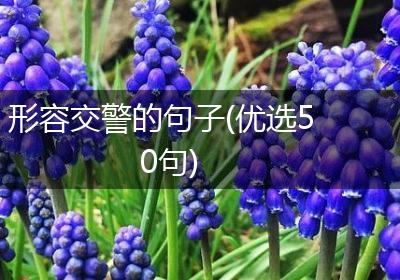 形容交警的句子(优选50句)