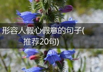 形容人假心假意的句子(推荐20句)