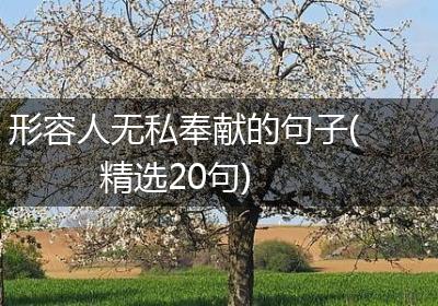 形容人无私奉献的句子(精选20句)