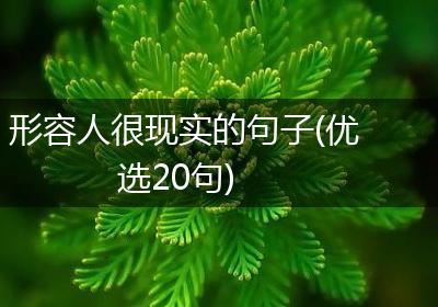 形容人很现实的句子(优选20句)