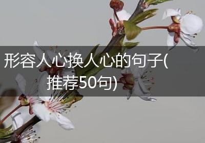 形容人心换人心的句子(推荐50句)