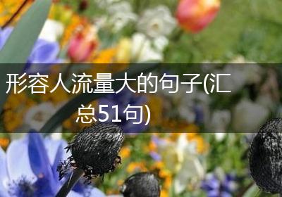 形容人流量大的句子(汇总51句)