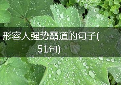 形容人强势霸道的句子(51句)